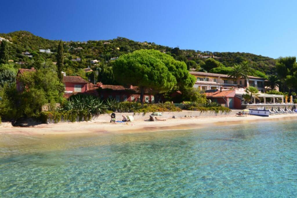 Magnifique Studio A 50M De La Plage De Cavaliere - Studio Tamarindo لو لا فاندو المظهر الخارجي الصورة
