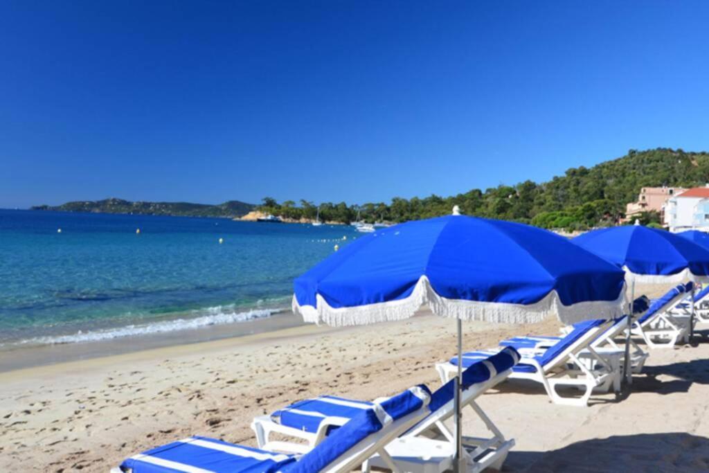 Magnifique Studio A 50M De La Plage De Cavaliere - Studio Tamarindo لو لا فاندو المظهر الخارجي الصورة